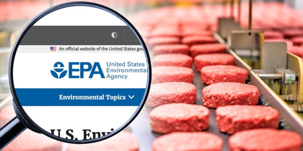 EPA Rule Could Put Small Meat Processors Out of Business — and Leave Consumers Out in the Cold